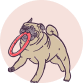 Petfusion