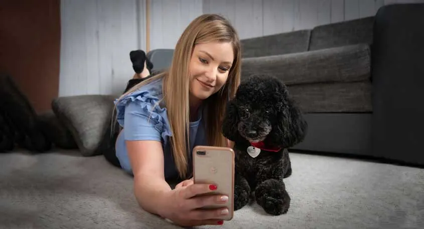 Petfusion